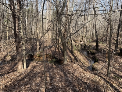 Land & Home For Sale In Tn, Basement, Well, Creek, Wooded - image 33