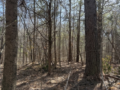 Land & Home For Sale In Tn, Basement, Well, Creek, Wooded - image 30