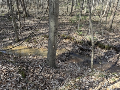 Land & Home For Sale In Tn, Basement, Well, Creek, Wooded - image 32
