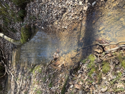 Land & Home For Sale In Tn, Basement, Well, Creek, Wooded - image 19
