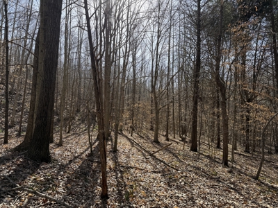 Land & Home For Sale In Tn, Basement, Well, Creek, Wooded - image 39