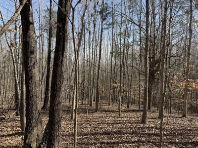 Land & Home For Sale In Tn, Basement, Well, Creek, Wooded - image 26