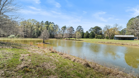 McLeod, TX — Country Home on 42± Acres - image 24