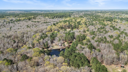 McLeod, TX — Country Home on 42± Acres - image 34
