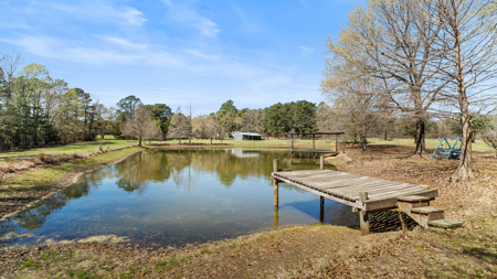 McLeod, TX — Country Home on 42± Acres - image 22