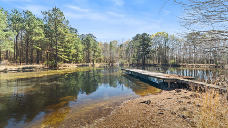 McLeod, TX — Country Home on 42± Acres - image 27