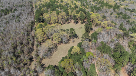 McLeod, TX — Country Home on 42± Acres - image 35