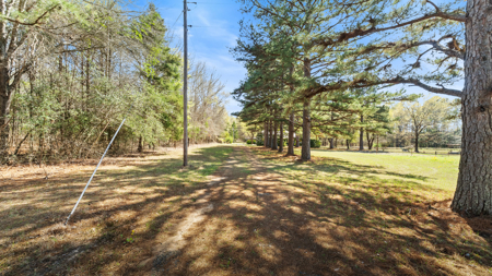 McLeod, TX — Country Home on 42± Acres - image 29