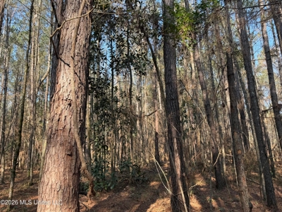 Land for Sale in Simpson County - image 5