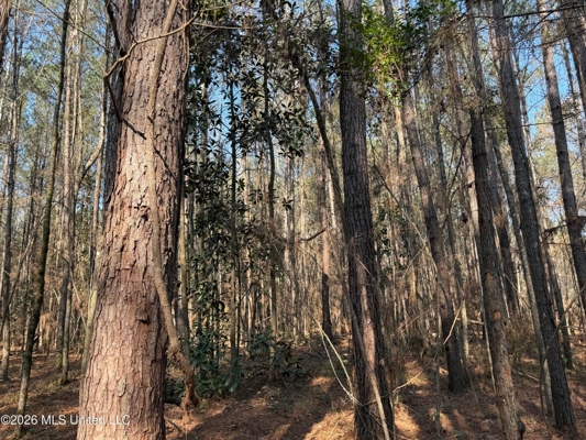 Land for Sale in Simpson County