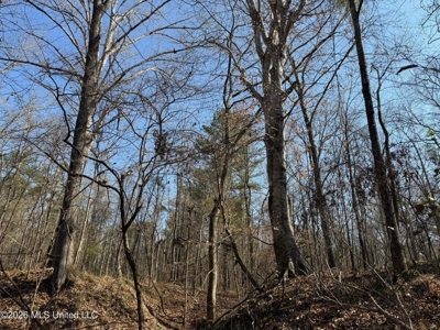 Land for Sale in Simpson County - image 6