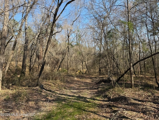 Land for Sale in Simpson County