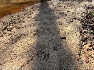 Land for Sale in Simpson County - image 37