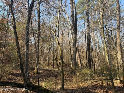 Land for Sale in Simpson County - image 2
