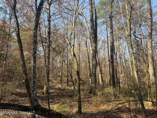 Land for Sale in Simpson County