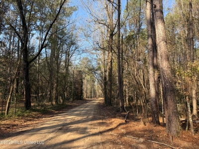 Land for Sale in Simpson County - image 17