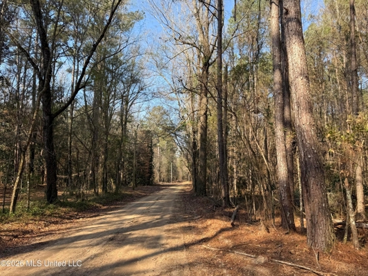 Land for Sale in Simpson County