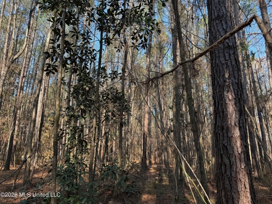 Land for Sale in Simpson County