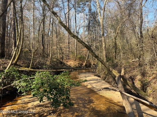 Land for Sale in Simpson County