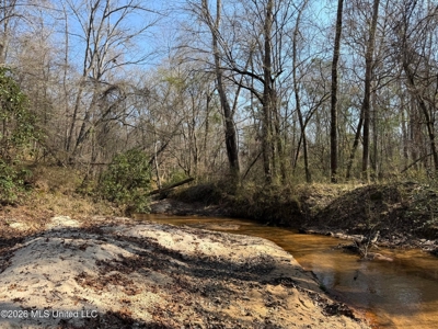 Land for Sale in Simpson County - image 33