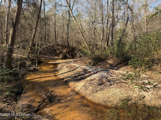 Land for Sale in Simpson County