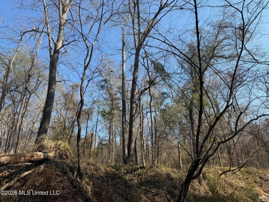 Land for Sale in Simpson County
