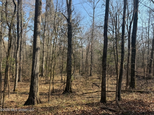 Land for Sale in Simpson County