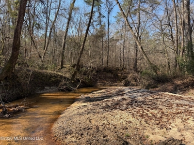 Land for Sale in Simpson County - image 8