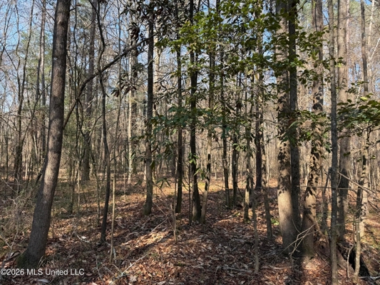 Land for Sale in Simpson County