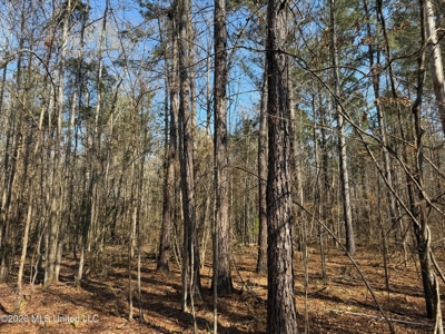 Land for Sale in Simpson County - image 25