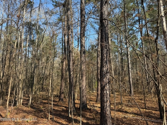 Land for Sale in Simpson County
