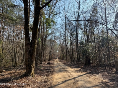 Land for Sale in Simpson County - image 29