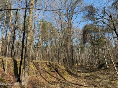 Land for Sale in Simpson County - image 35