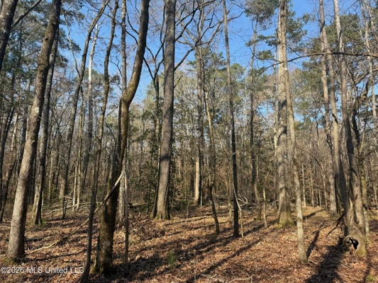 Land for Sale in Simpson County