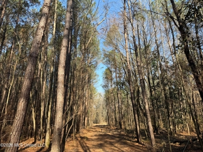 Land for Sale in Simpson County - image 3