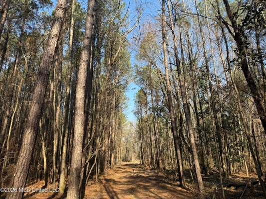 Land for Sale in Simpson County