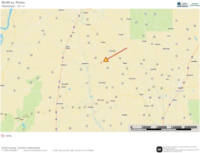 Land for Sale in Simpson County - image 41