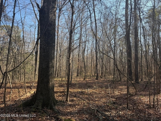 Land for Sale in Simpson County
