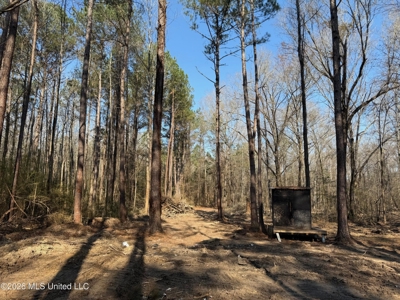 Land for Sale in Simpson County - image 32