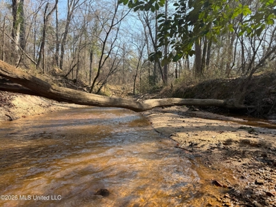 Land for Sale in Simpson County - image 28