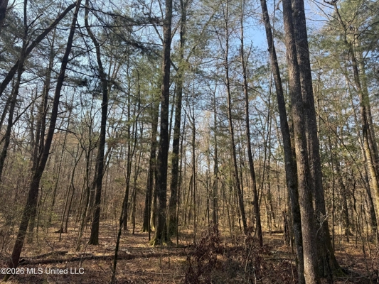 Land for Sale in Simpson County