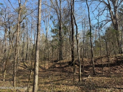Land for Sale in Simpson County - image 36