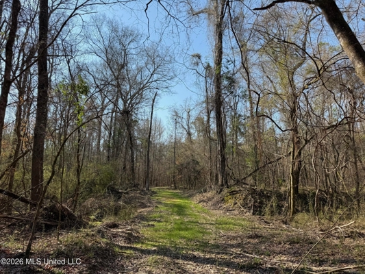Land for Sale in Simpson County