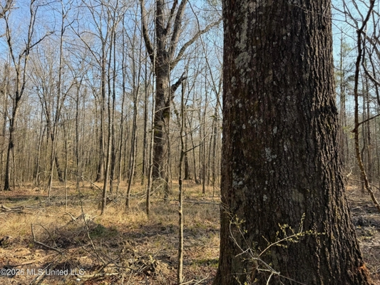 Land for Sale in Simpson County