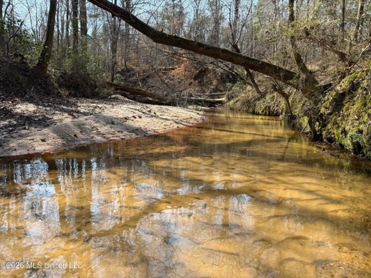 Land for Sale in Simpson County