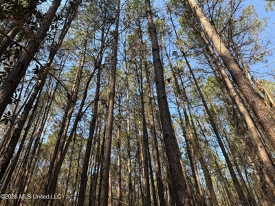 Land for Sale in Simpson County - image 21