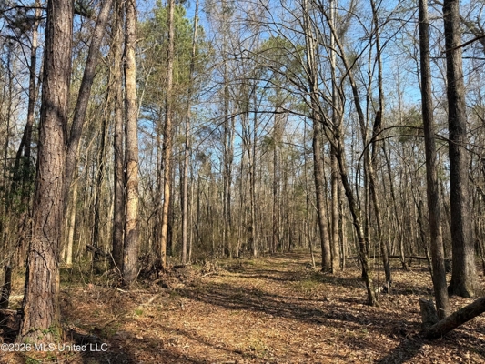Land for Sale in Simpson County