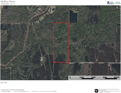 Land for Sale in Simpson County - image 42
