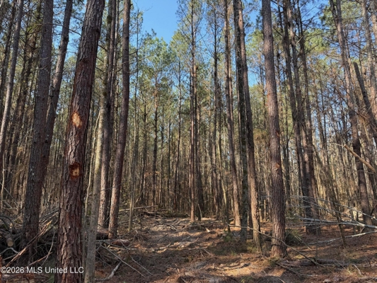 Land for Sale in Simpson County