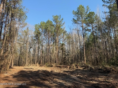 Land for Sale in Simpson County - image 31